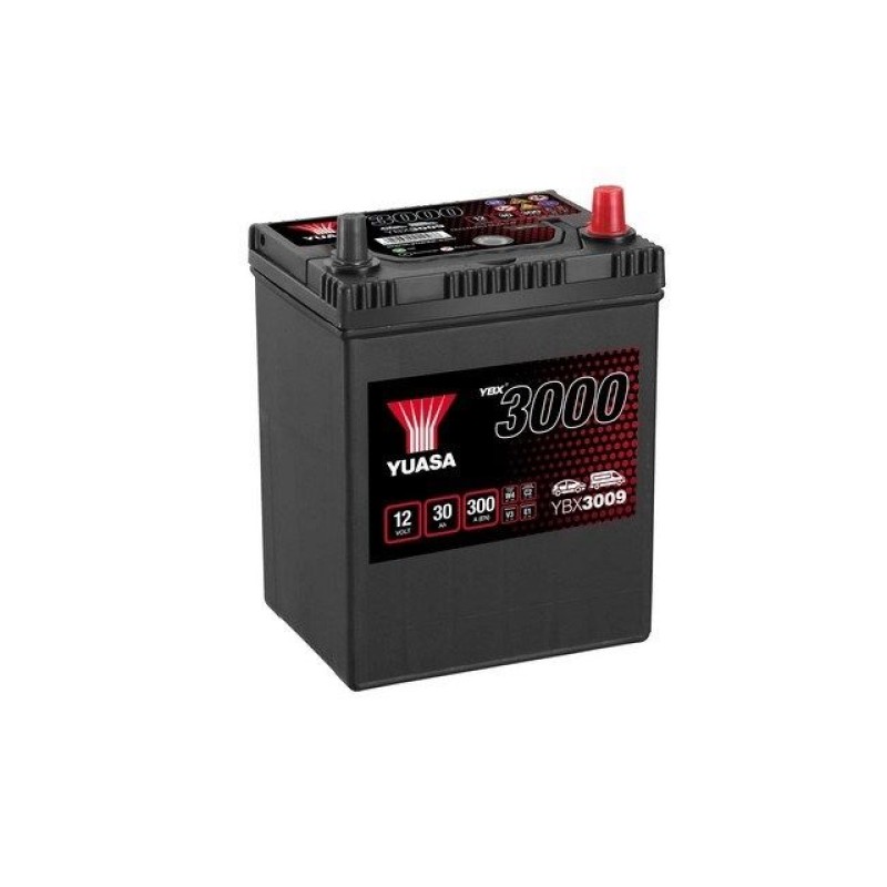 Accu 12 V 30 Ah - Standaard accu